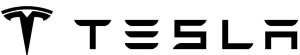 Tesla logo design